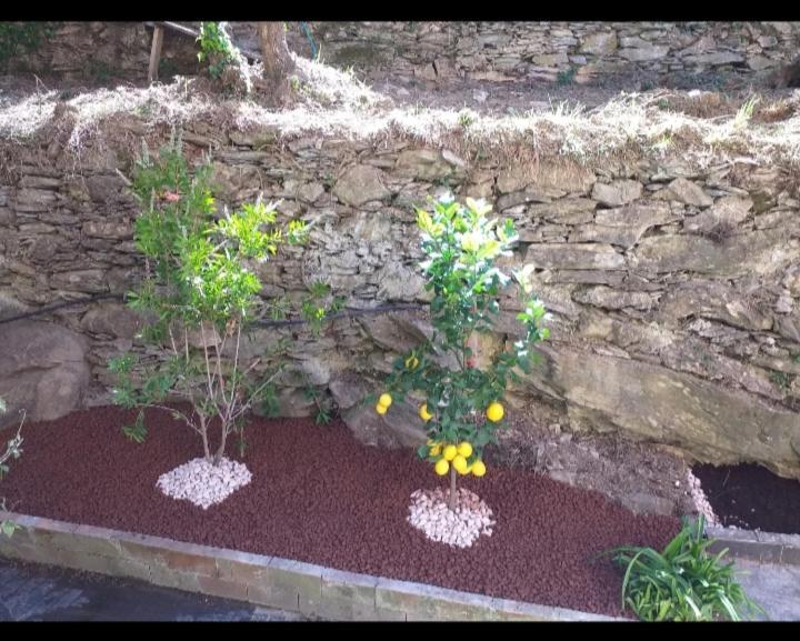 Home Green Poggio Favaro-San Bernardo Zewnętrze zdjęcie